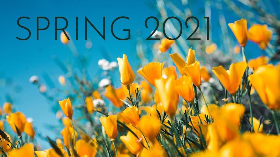 Ccny Spring 2021 Calendar Sacramento City College's Spring 2021 Semester Will Be Online 